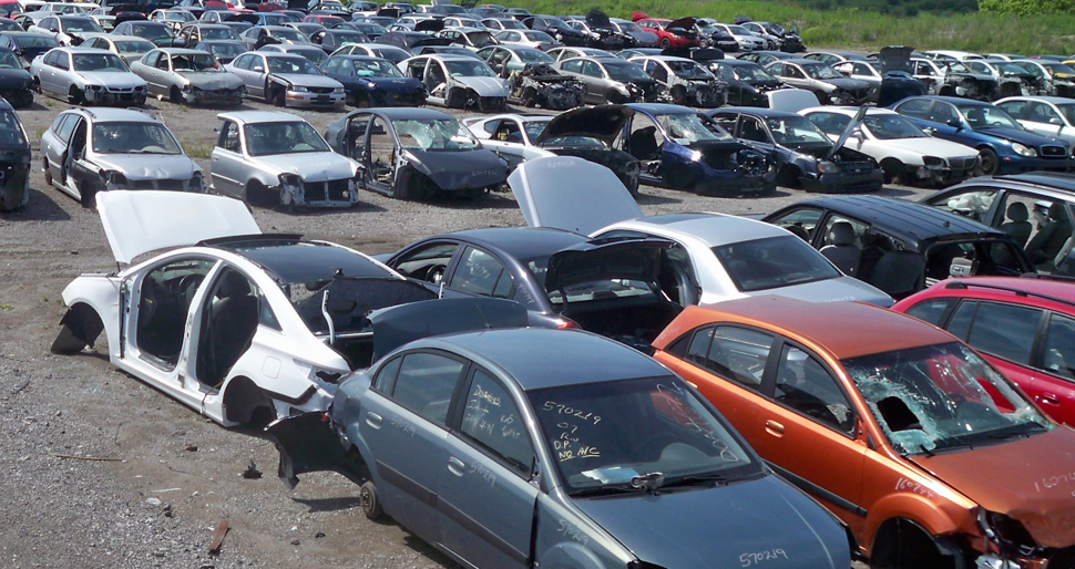 OVER 2000 cars on 50 ACRES